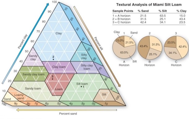   Which is a soil that is 40% sand,40% silt,and 20% clay? A) Loam. B) Silty clay. C) Silt loam. D) Clay loam.