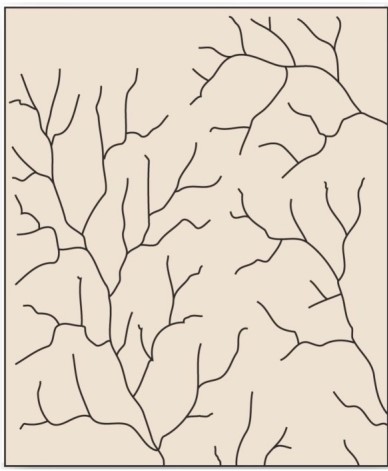   Which is the tree-like drainage pattern that efficiently moves water and sediment through its system due to minimization of the total length of each branch? A) Dendritic. B) Trellis. C) Radial. D) Deranged.