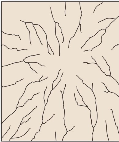   Which is the drainage pattern that results when streams flow off a central peak or dome? A) Annular. B) Trellis. C) Radial. D) Rectangular.