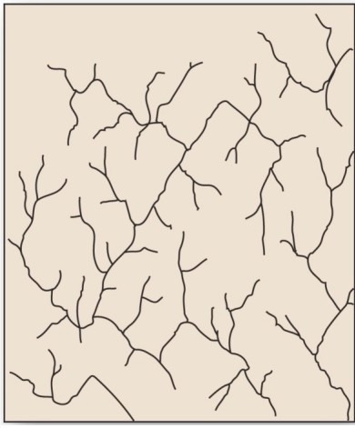   Which is the drainage pattern associated with faulted and jointed landscapes that direct stream courses in patterns of right-angle turns? A) Radial. B) Rectangular. C) Trellis. D) Dendritic.
