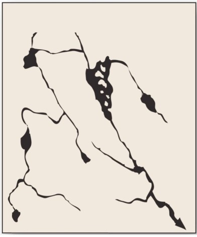   With no clear geometry and no true stream valley,which drainage pattern occurs in areas such as glaciated shield regions? A) Deranged. B) Radial. C) Parallel. D) Dendritic.