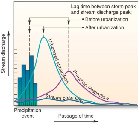  This graph,showing the effects of urbanization on streamflow over time,is an example of which of the following? A) Water budget. B) Hydrograph. C) Climograph. D) Hydrological cycle.