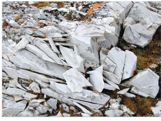   Which is likely the weathering process responsible for breaking this marble? A) Exfoliation. B) Carbonation. C) Frost wedging. D) Salt-crystal growth.