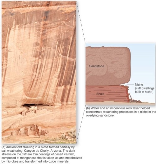   A niche in sandstone,such as that in Arizona's Canyon de Chelly,is indicative of which weathering process? A) Exfoliation. B) Carbonation. C) Frost wedging. D) Salt-crystal growth.