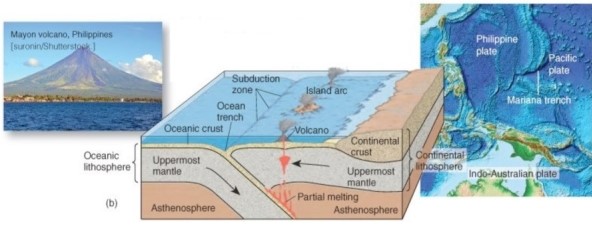   What type of convergent boundary associated with orogeny is illustrated here? A) Oceanic plate-continental plate collision. B) Oceanic plate-oceanic plate collision. C) Continental-plate-continental plate collision.