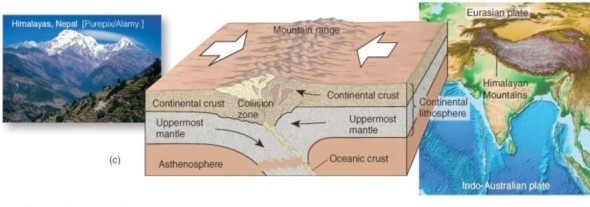   What type of convergent boundary associated with orogeny is illustrated here? A) Oceanic plate-continental plate collision. B) Oceanic plate-oceanic plate collision. C) Continental-plate-continental plate collision.