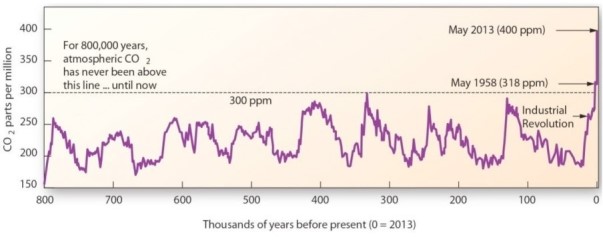   Which correctly describes carbon dioxide (CO2) concentrations over the past 800,000 years? A) These have remained relatively constant. B) These were much higher in the past than the present. C) These fluctuated over time,but have been increasing since the Industrial Revolution. D) These reached a maximum about 325 000 years before present.