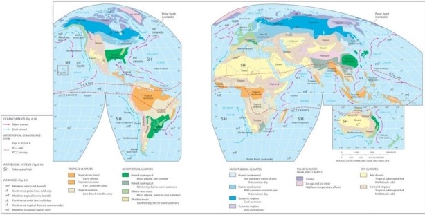   Which air mass appears to predominately influence the humid subtropical region? A) Maritime polar (mP) . B) Maritime tropical (mT) . C) Continental tropical (cT) . D) Continental polar (cP) .