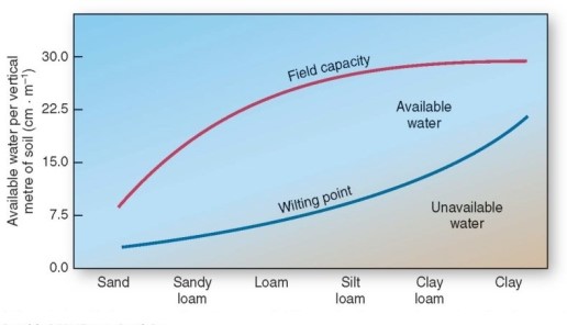   Of the following,which soil type has the highest field capacity? A) Loam. B) Clay loam. C) Silt loam. D) Sandy loam.