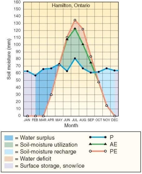   The water balance for Hamilton,Ontario exhibits which of the following? A) A net water surplus (S) during each month of the year. B) Net demands for water for 10 months of the year. C) Water deficits in the summer months. D) Water deficits each month of the year.