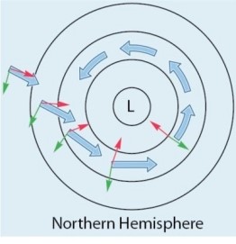   Which of the following best describes the figure above? A) A high pressure center (anticyclone) . B) Winds influenced by both the pressure gradient and Coriolis forces. C) Wind movement based on the pressure gradient force alone. D) Geostrophic winds.