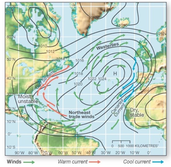   Which of the following describes the western side of subtropical high pressure cells? A) Cool and moist. B) Warm,moist,and unstable. C) Dry,stable,and warm,with cooler ocean currents. D) Generally in the same position all year; i.e.,they do not migrate with the high Sun.