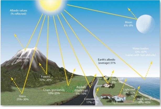   Which of the following has the lowest albedo? A) Fresh snow. B) The Moon. C) Light roof. D) Forests.