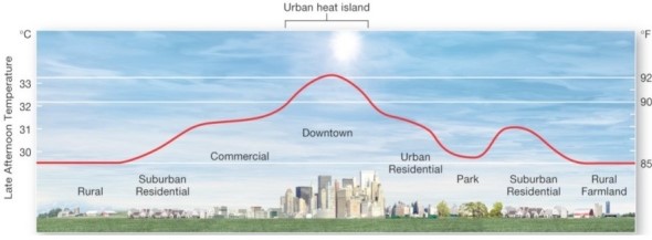   Following the urban heat island profile from rural areas to a typical downtown urban area,which of the following is true? A) Commercial and urban residential areas have the highest late afternoon temperatures. B) Large urban parks do not mitigate against the urban heat island. C) On average,urban areas are 1 to 3°C higher than nearby rural areas. D) The temperature variations between urban and rural environments are negligible.