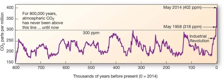 The primary anthropogenic source of atmospheric carbon dioxide (CO<sub>2</sub>) is A) burning of fossil fuels. B) respiration. C) rice farming. D) clearing and burning land.  