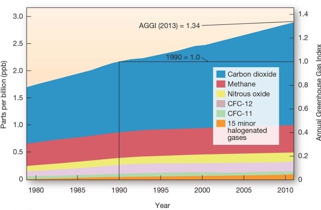   -Which of the following has a negative radiative forcing (i.e.cools the planet) ? A) Nitrous oxides (N<sub>2</sub>O)  B) Stratospheric ozone (O<sub>3</sub>)  C) Methane (CH<sub>4</sub>)  D) Carbon dioxide (CO<sub>2</sub>) 