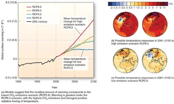   -According to the RCP8.5 scenario of high emissions A) global surface temperatures will increase until about mid-century,then steadily decrease. B) global surface temperatures will increase throughout the 21st century,but at a very gradual rate. C) global surface temperatures will cool during the most of the 21st century. D) global surface temperatures will increase throughout the 21st century,perhaps by as much as 4°C (7.2°F) by 2100.