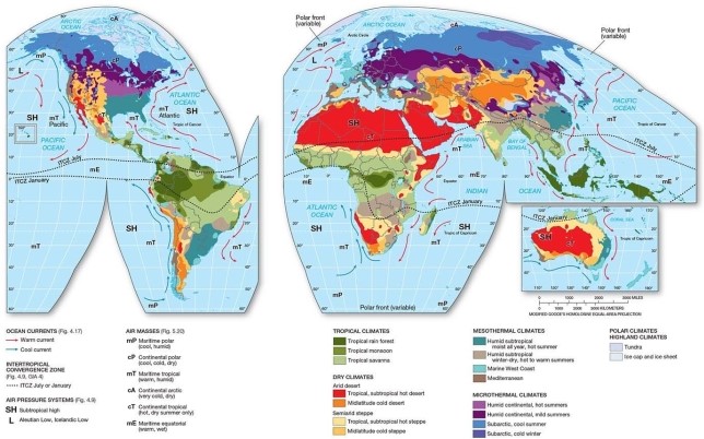   -Which air mass appears to predominately influence the humid subtropical region? A) Maritime equatorial (mE)  B) Continental polar (cP)  C) Maritime polar (mP)  D) Continental tropical (cT)  E) Maritime tropical (mT) 