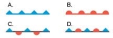   -The weather station symbol symbolized by C is a(n)  A) cold front. B) warm front. C) stationary front. D) occluded front.