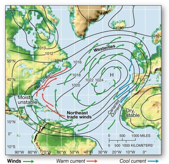   -The subtropical high pressure system in the North Atlantic and associated cool and warm currents A) circulate warm ocean currents along the western African coast. B) bring cool waters to the eastern shores of the United States. C) contribute to west African deserts (dry,stable climate)  D) influence the warm and dry conditions in the Bahamas.