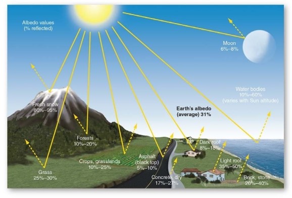   -Which of the following has the lowest albedo? A) Forests B) Pack ice off the coast of Antarctica C) The Moon D) Snow that is polluted and several days old E) Dry,light sandy soils