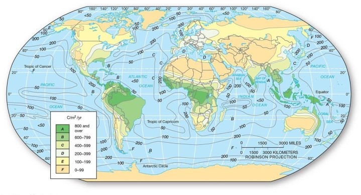   -In which of the following terrestrial ecosystems would one tend to find the highest net primary productivity? A) Temperate grassland B) Tropical seasonal forest C) Boreal forest D) Tundra and alpine region