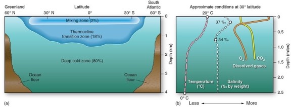   -According to the figure above,within the mixing zone and thermocline,the average temperature and salinity A) decrease with depth. B) increase with depth. C) remain fairly constant with depth. D) decrease within the mixing zone,but increase the thermocline.