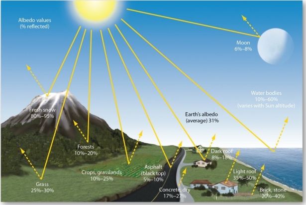   Which of the following has the lowest albedo? A)  fresh snow B)  croplands C)  light roof D)  forests E)  the Moon