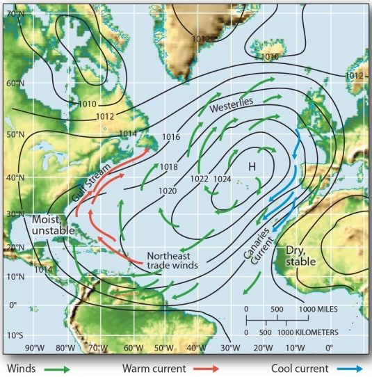   The western side of subtropical high pressure cells tend to be A)  cool and moist. B)  warm, moist, and unstable. C)  dry, stable, and warm, with cooler ocean currents. D)  generally in the same position all year; i.e., they do not migrate with the high Sun.