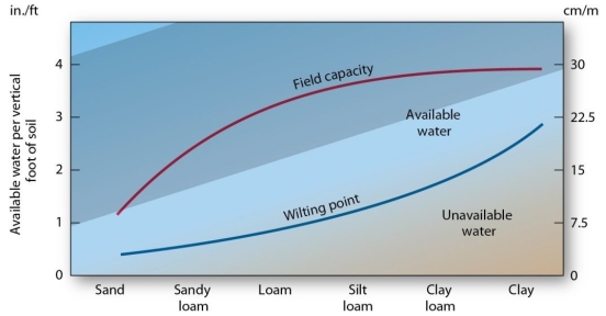   Of the following, which soil type has the highest field capacity? A)  loam B)  clay loam C)  silt loam D)  sandy loam