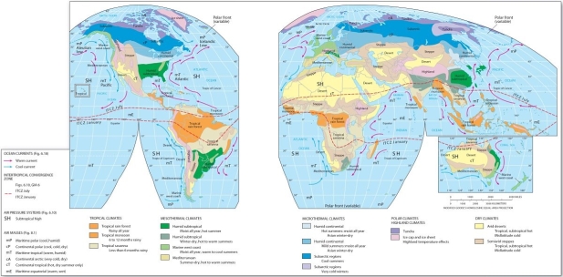   Which air mass appears to predominately influence the humid subtropical region? A)  maritime polar (mP)  B)  maritime tropical (mT)  C)  continental tropical (cT)  D)  continental polar (cP)  E)  maritime equatorial (mE) 