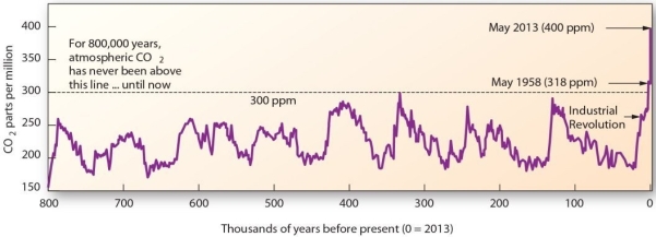   Carbon dioxide (CO₂ )  concentrations over the past 800,000 years A)  have remained relatively constant. B)  were much higher in the past than the present. C)  fluctuated over time, but have been increasing since the Industrial Revolution. D)  reached its maximum about 325,000 years before present.