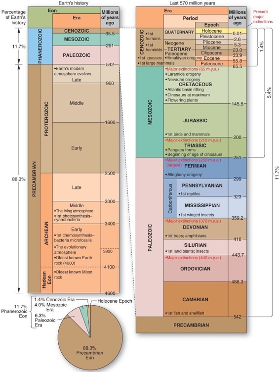   Which of the following is correct regarding the geologic time scale? A)  The Jurassic period occurred during the Paleozoic era. B)  Over 87 percent of Earth's history has elapsed during the more recent Cenozoic, Mesozoic, and Paleozoic eras. C)  The bulk of Earth's history has occurred during the Precambrian eon. D)  We live in the Tertiary period.