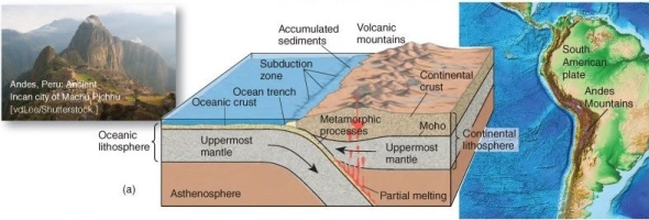   What type of convergent boundary associated with orogeny is illustrated here? A)  oceanic plate-continental plate collision B)  oceanic plate-oceanic plate collision C)  continental-plate-continental plate collision