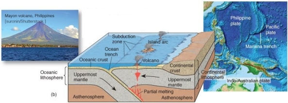   What type of convergent boundary associated with orogeny is illustrated here? A)  oceanic plate-continental plate collision B)  oceanic plate-oceanic plate collision C)  continental-plate-continental plate collision