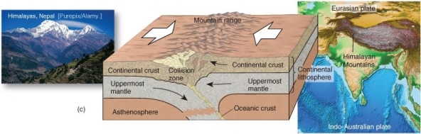   What type of convergent boundary associated with orogeny is illustrated here? A)  oceanic plate-continental plate collision B)  oceanic plate-oceanic plate collision C)  continental-plate-continental plate collision