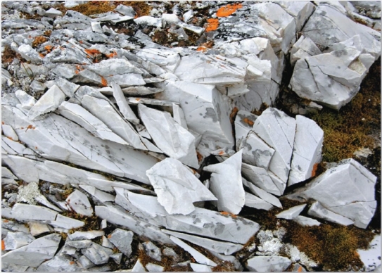   The weathering process responsible for breaking this marble is likely A)  exfoliation. B)  carbonation. C)  frost wedging. D)  salt-crystal growth.