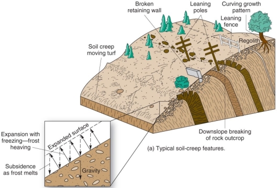   The mass movement process responsible of the curved growing pattern in the trees and the downsloping leaning of the utility posts and fences is A)  debris avalanche. B)  soil creep. C)  landslide. D)  rockfall.