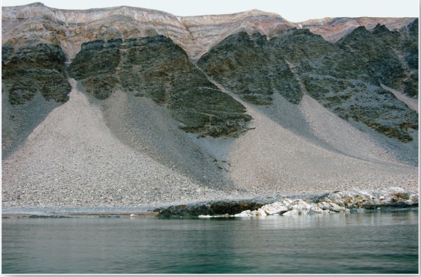   The photograph is an example of a A)  talus slope. B)  debris avalanche. C)  mudflow. D)  landslide.
