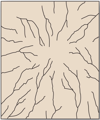   This drainage pattern results when streams flow off a central peak or dome. A)  annular B)  trellis C)  radial D)  rectangular