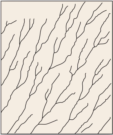   This drainage pattern is associated with steep slopes. A)  parallel B)  dendritic C)  trellis D)  deranged