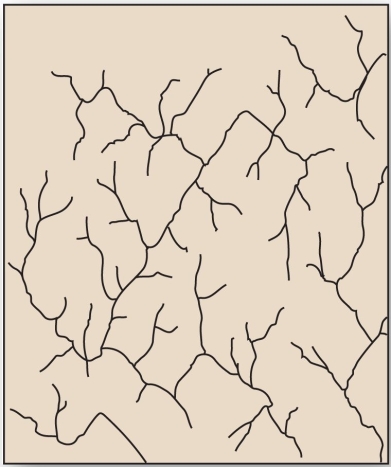   Faulted and jointed landscapes directs streams courses in patterns of right-angle turns forming this drainage pattern. A)  radial B)  rectangular C)  trellis D)  dendritic