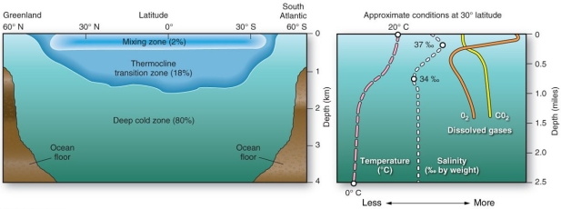   Within the deep cold zone, average temperature and salinity A)  decrease with depth. B)  increase with depth. C)  remain fairly constant with depth. D)  decrease within the mixing zone, but increase the thermocline.