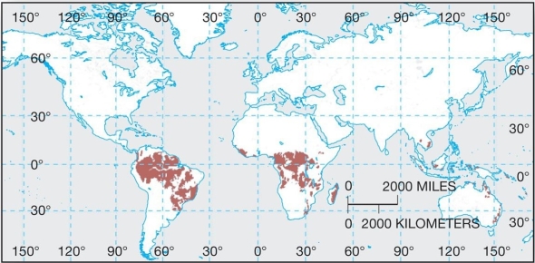 <strong> These mature soils are found in the tropics.</strong> A) Oxisols B) Mollisols C) Aridisols D) Andisols