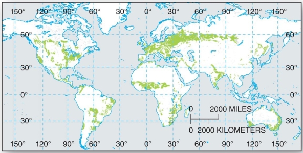   These soils are the most spatially widespread, extending from the equator to high latitudes. A)  Vertisols B)  Alfisols C)  Entisols D)  Gelisols