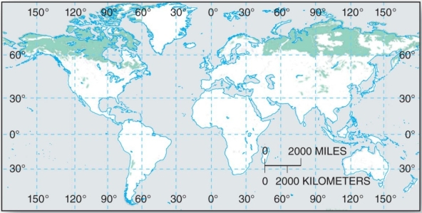 <strong> These high latitude, periglacial soils contain about half of the pool of global carbon.</strong> A) Oxisols B) Spodosols C) Gelisols D) Mollisols