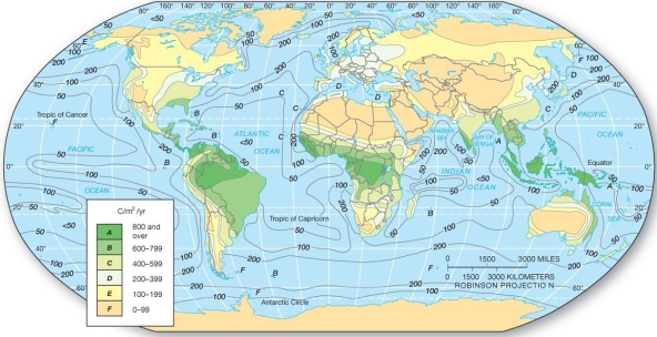   In which of the following areas would one tend to find the highest net primary productivity? A)  northern Brazil B)  central Australia C)  western Canada D)  Euroasia