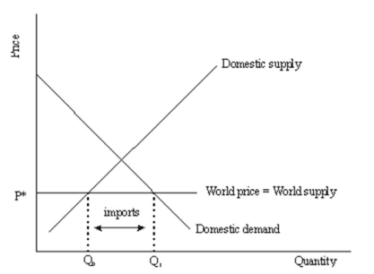 Consider the following supply and demand diagram shown for a small domestic country.Note that at the world free-trade price of P* illustrated in the diagram,there are imports of Q<sub>1</sub> - Q<sub>0</sub>.    If a government wanted more tariff revenue,given the same tariff,t,would it desire elastic or inelastic demand of the imported good? Explain.Be sure to illustrate your explanation with an appropriate diagram.