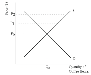 The market for Columbian coffee beans is given in the diagram below.The market is currently in equilibrium with a price of P<sub>0</sub> and a quantity exchanged of Q<sub>0</sub>.Suppose that the Columbian government takes over the production and distribution of all coffee beans grown in Columbia.In an effort to increase revenue from the sales of coffee beans,the government decides to raise the price above P<sub>0</sub>.Describe why it would take more effort for the government to raise the price to P<sub>2</sub> than it would for it raise the price to P<sub>1</sub>.   