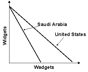 Refer to the graph shown.   The graph demonstrates Saudi Arabia's and the United States' production possibility curves for widgets and wadgets.Given these production possibility curves, you would suggest that: A) Saudi Arabia specialize in widgets and the United States in wadgets. B) No trade should take place. C) Saudi Arabia specialize in wadgets and the United States in widgets. D) Both countries should produce an equal amount of each.